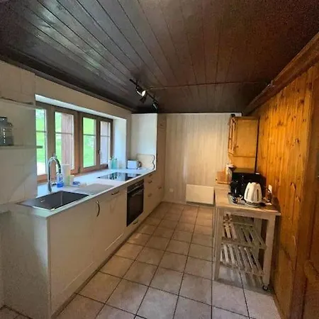 Appartement Cosy Mountain 5min Walk From Gondola Fiesch